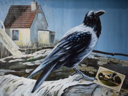 The nest, 50/70, collage/canvas, 2025